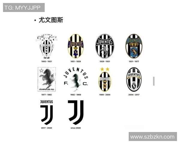 2018欧洲杯球队标志全解析各国代表队徽背后的故事与意义