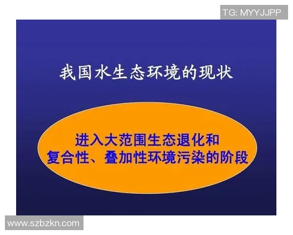 中国足球联赛体系的现状与未来发展探讨及其对国家足球水平的影响分析